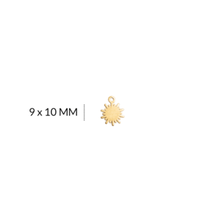Dije en acero Sol 9x10mm x und